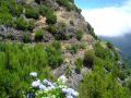 Madeira0914.JPG